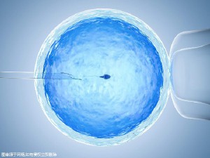 同仁堂国医馆
